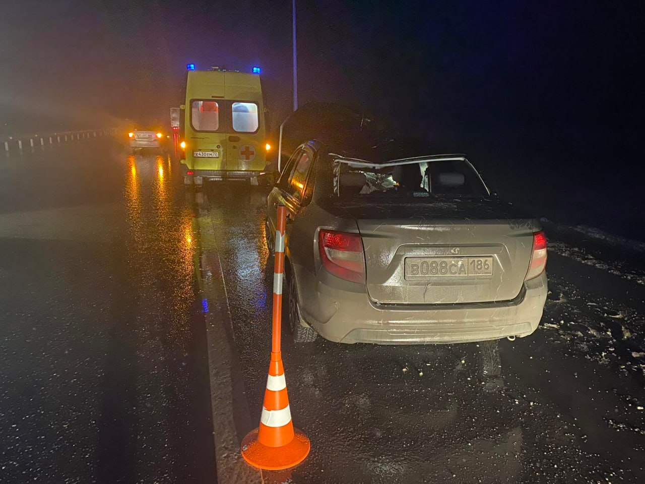 Сбит лось на федеральной автодороге Тюмень-Омск: водитель и пассажирка получили травмы