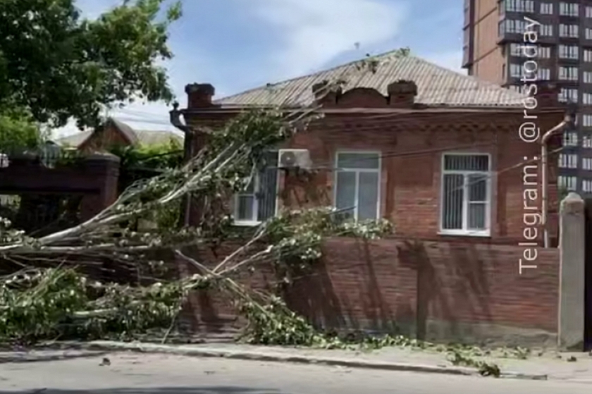 В Ростове-на-Дону дерево повредило крышу дома