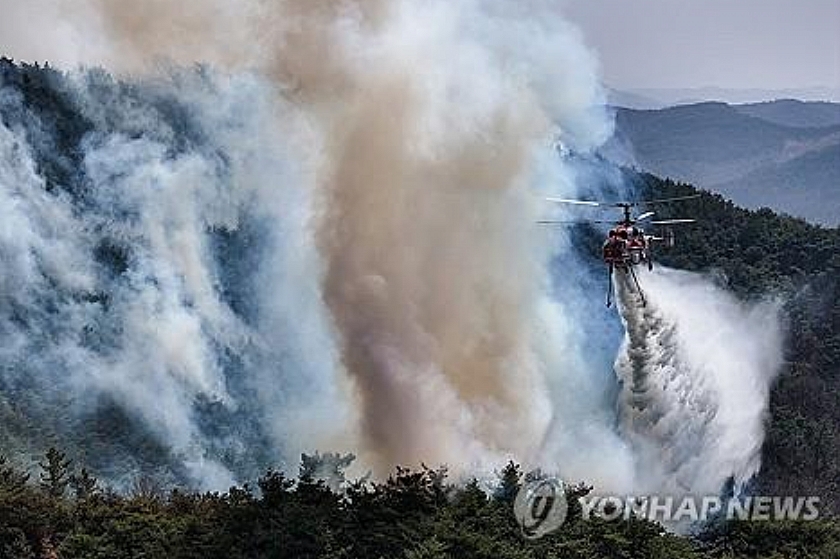 Трагедия в Южной Корее: Крушение вертолета в зоне лесных пожаров