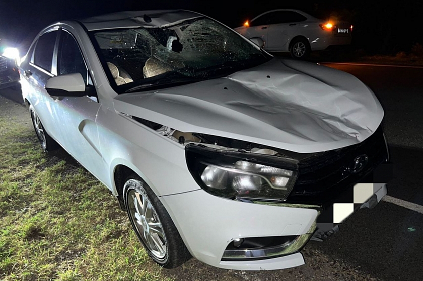 Начинающий водитель сбил велосипедиста в Курском округе