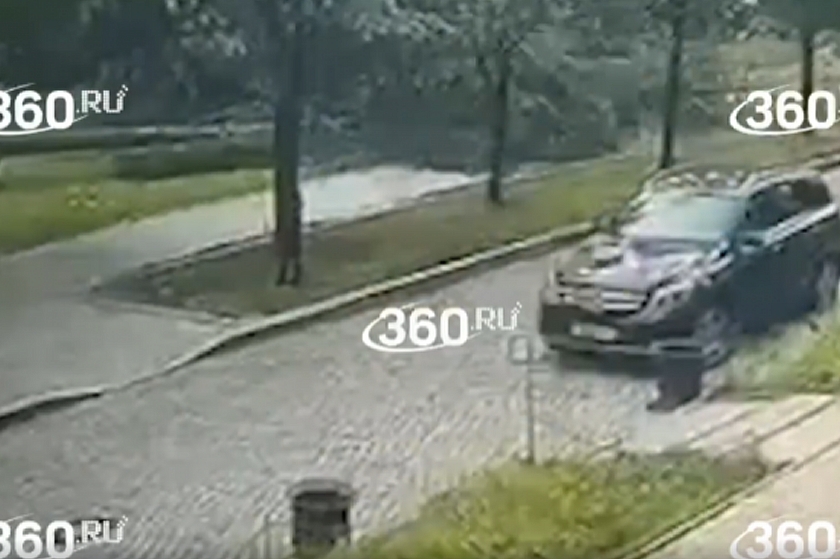 Дерево упало на женщину в Петербурге: подробности