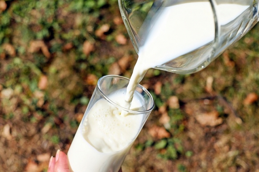 В Прикамье обнаружен фальсификат молочных товаров