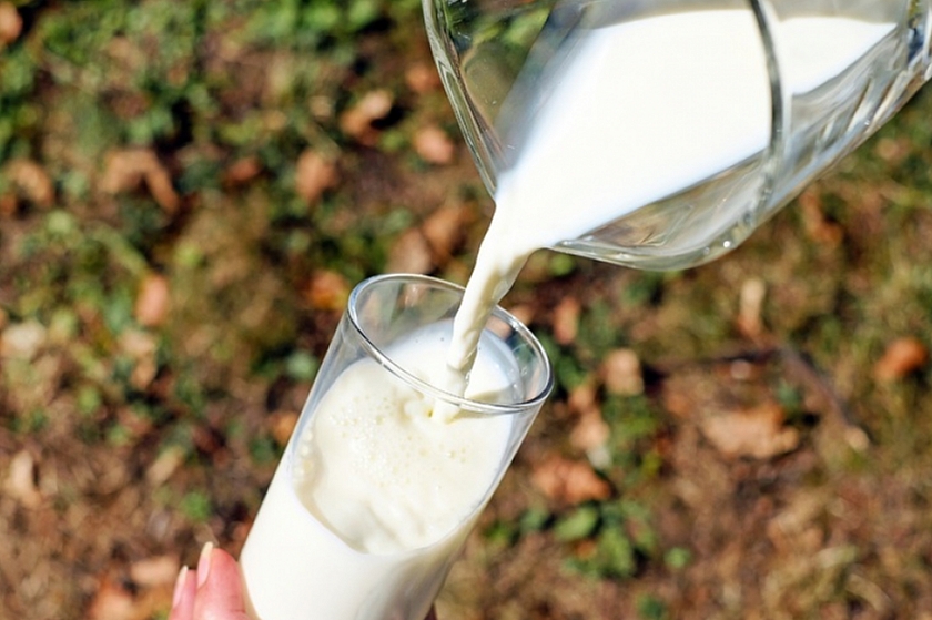 Российский рынок молочной продукции: компания Danone из Франции отказывается от использования популярных брендов