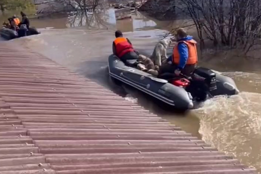 Паводок уничтожил коттеджный посёлок в Оренбурге, жители спасаются на лодках
