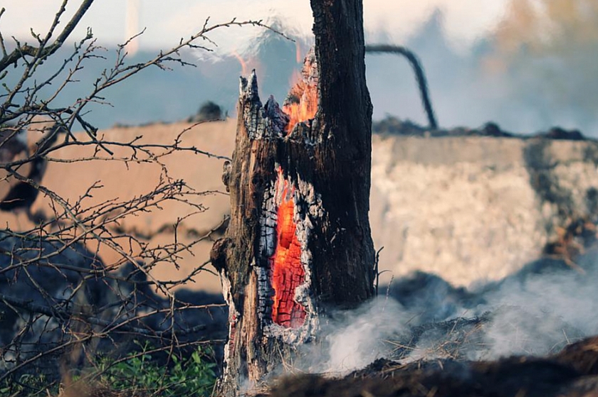 На территории ХМАО начали фиксироваться пожары в лесных массивах