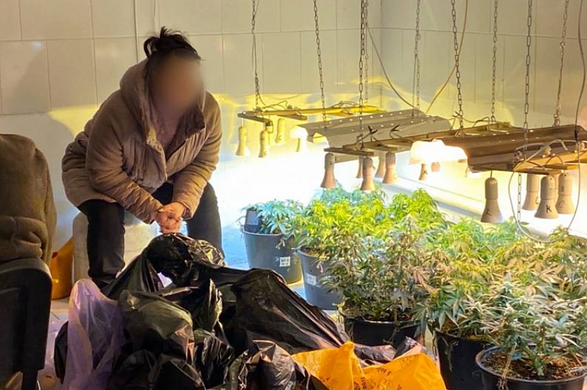 Астраханские полицейские задержали женщину-наркофермера