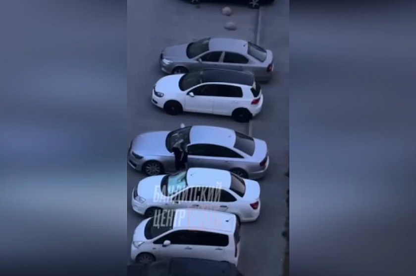 Россиянка с дредами повредила Audi в Екатеринбурге