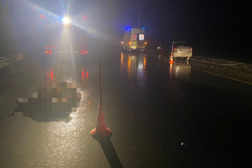 Сбит лось на федеральной автодороге Тюмень-Омск: водитель и пассажирка получили травмы