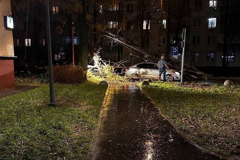 Число жертв московского шторма достигло четырех 